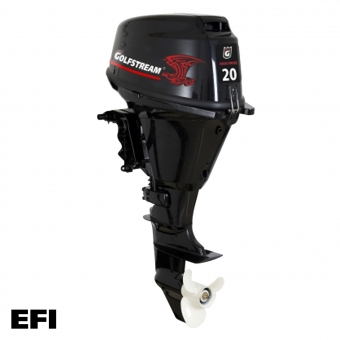GOLFSTREAM F 20 AFWS EFI