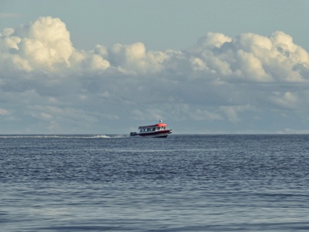 РУСБОТ‑95/20