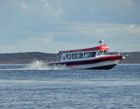 РУСБОТ‑95/20